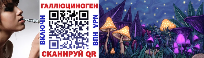 Галлюциногенные грибы ЛСД  darknet телеграм  Карачаевск  мега  