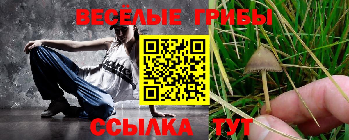 Псилоцибиновые грибы мухоморы Карачаевск