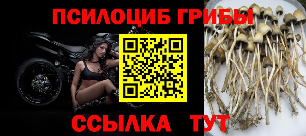 Галлюциногенные грибы ЛСД  Псилоцибиновые грибы Psilocybine cubensis  Вход с VPN  Карачаевск 
