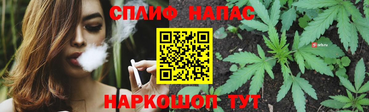 Канабис план Карачаевск